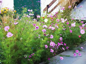 Organic Holidays - Ballylagan Organic Farm Apartment, 12 Ballylagan Road, Straid. BT39 9NF
