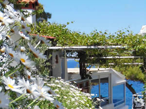 Organic Holidays - Rosy's Little Village, Skliri Skala, 18010 Agistri Attika. 