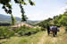 Organic Holidays - Ktima Bellou Farm Hotel, Agios Dimitrios, 60100 Pieria. 